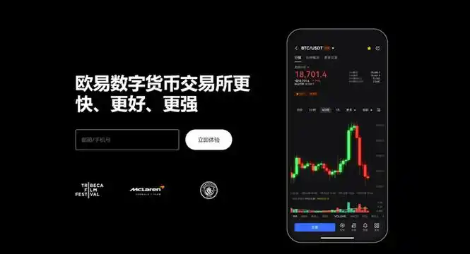 OK交易所官网平台展示图